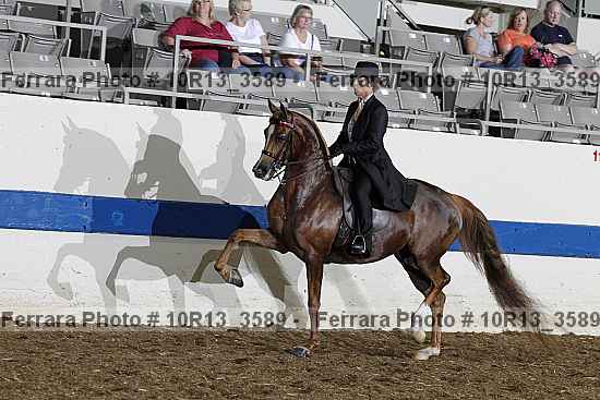 Proof 10r13_3589