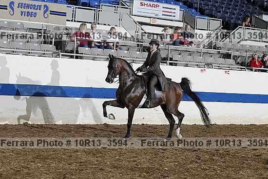 Proof 10r13_3594