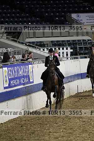 Proof 10r13_3595