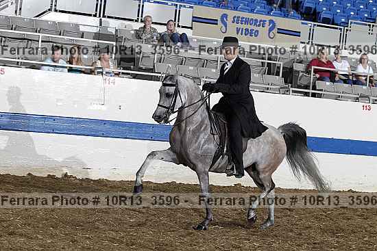 Proof 10r13_3596