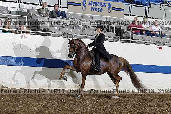 Proof 10r13_3599