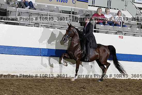 Proof 10r13_3601