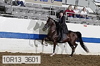 10r13_3601 proof