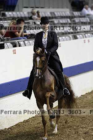 Proof 10r13_3603