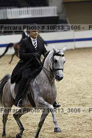 Proof 10r13_3606