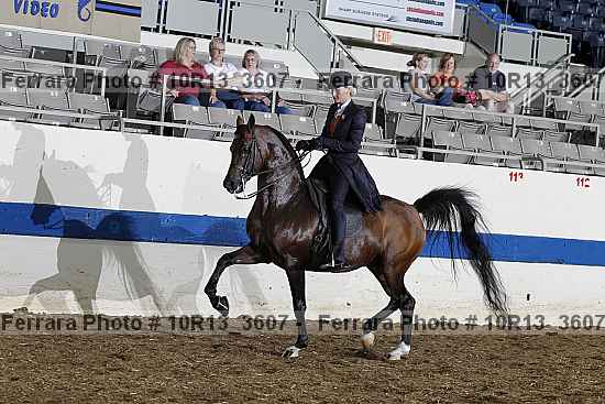 Proof 10r13_3607