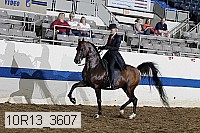 10r13_3607 proof