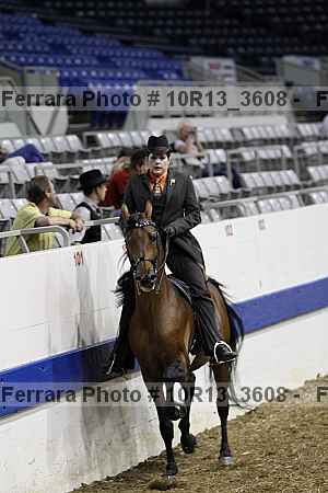 Proof 10r13_3608