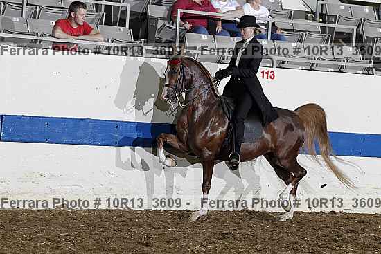 Proof 10r13_3609
