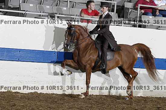 Proof 10r13_3611