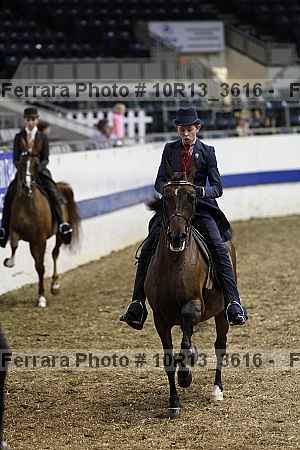 Proof 10r13_3616