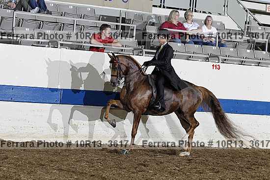 Proof 10r13_3617