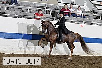 10r13_3617 proof