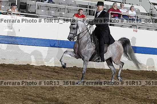Proof 10r13_3618