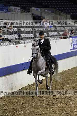 Proof 10r13_3620