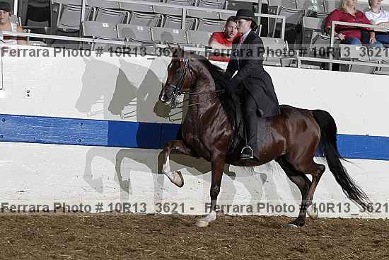 Proof 10r13_3621