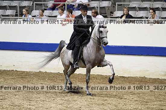 Proof 10r13_3627