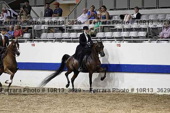 Proof 10r13_3629