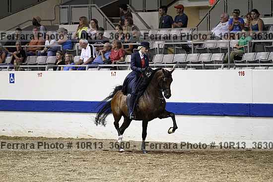 Proof 10r13_3630