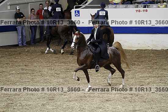 Proof 10r13_3660