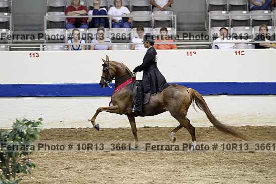 Proof 10r13_3661