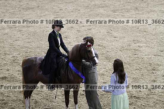Proof 10r13_3662