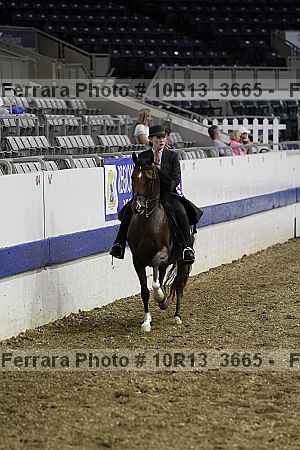 Proof 10r13_3665