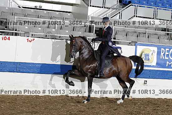 Proof 10r13_3666