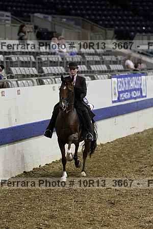 Proof 10r13_3667