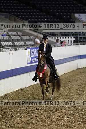Proof 10r13_3675