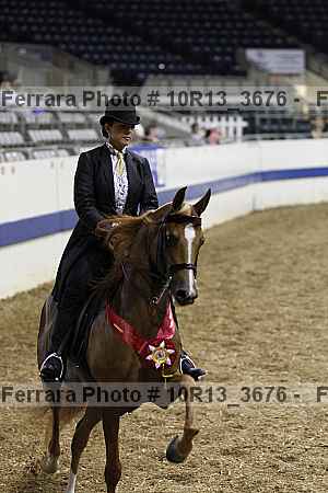 Proof 10r13_3676
