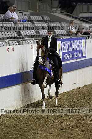 Proof 10r13_3677