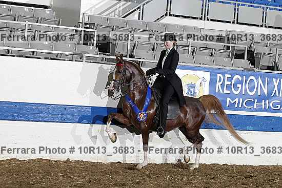 Proof 10r13_3683