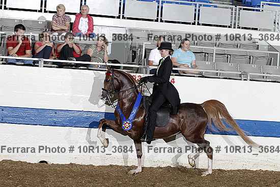 Proof 10r13_3684