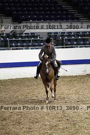 Proof 10r13_3690