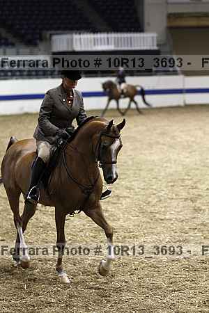 Proof 10r13_3693
