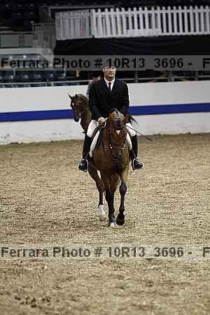Proof 10r13_3696