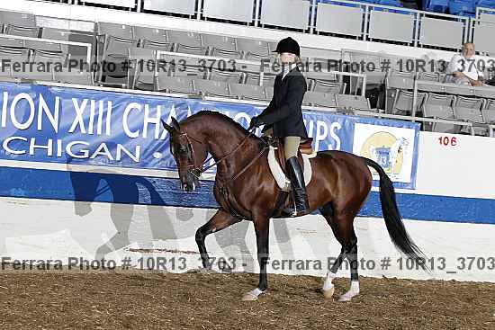 Proof 10r13_3703
