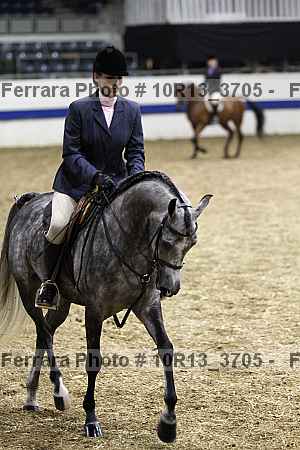 Proof 10r13_3705