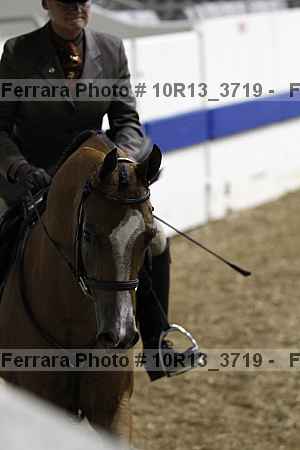 Proof 10r13_3719
