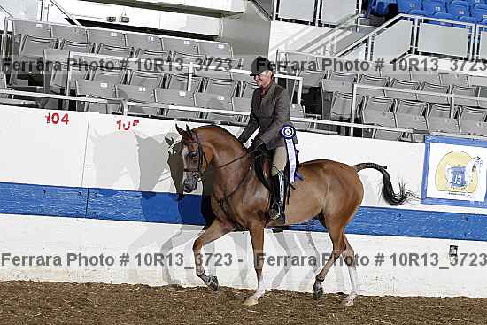 Proof 10r13_3723
