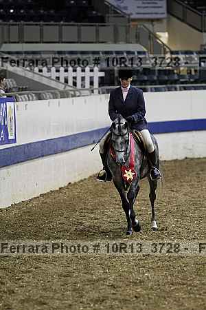 Proof 10r13_3728