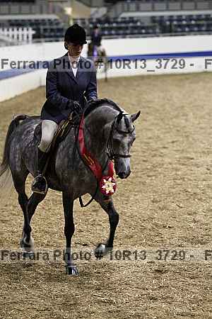 Proof 10r13_3729