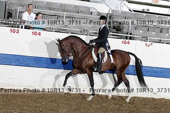 Proof 10r13_3731