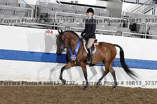 Proof 10r13_3737