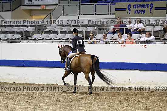 Proof 10r13_3739