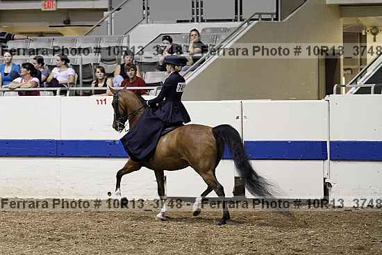 Proof 10r13_3748