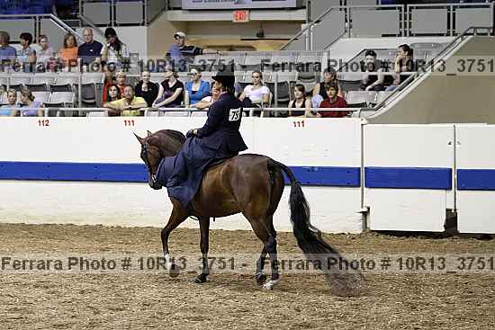 Proof 10r13_3751