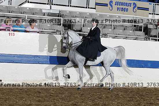 Proof 10r13_3763