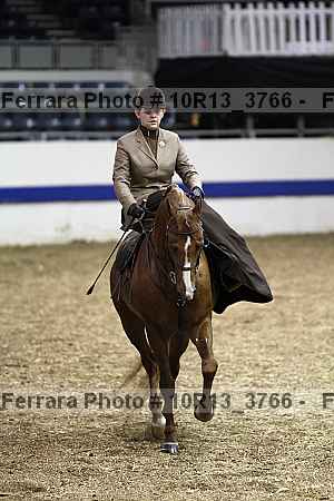 Proof 10r13_3766